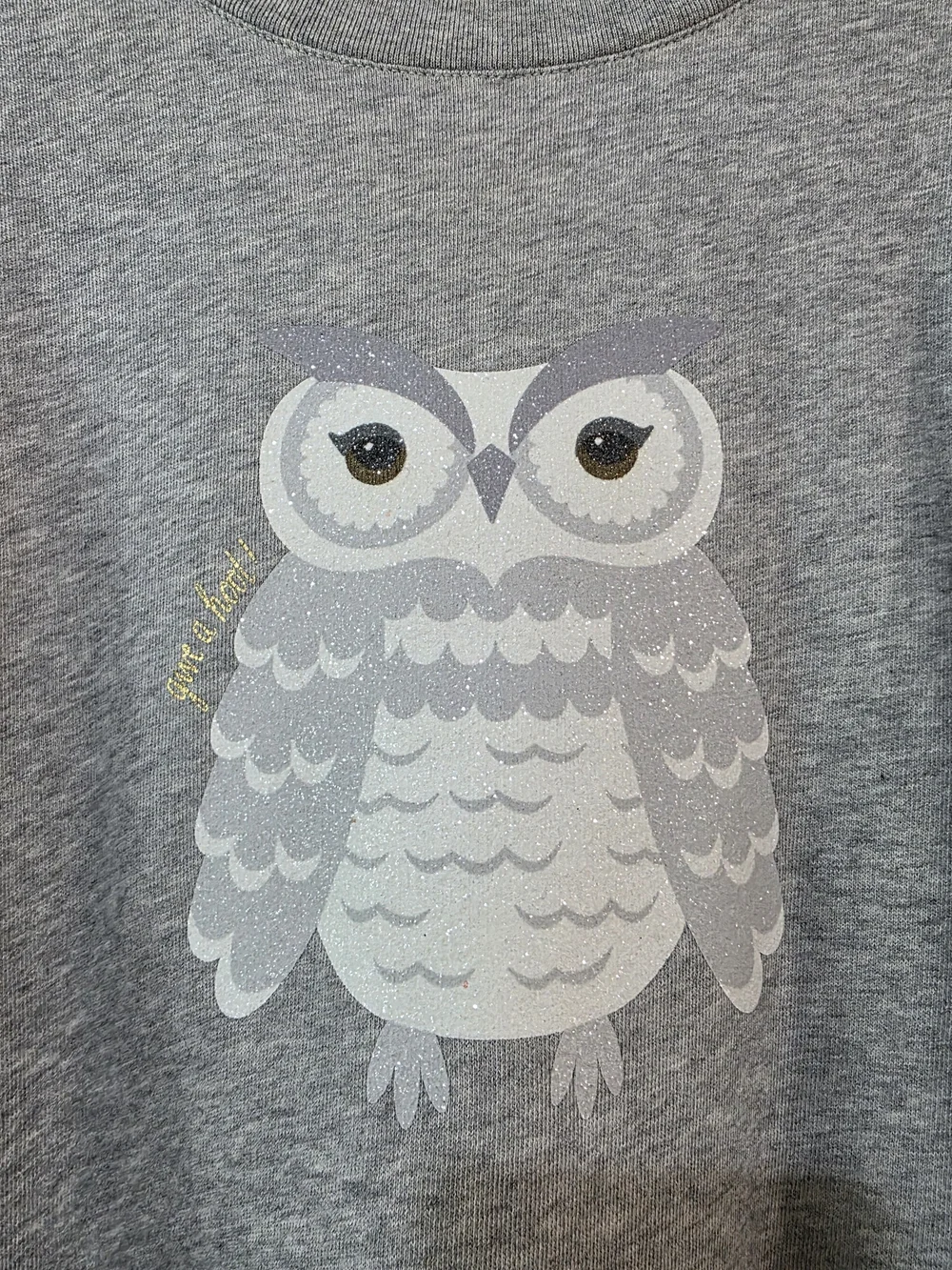 Glitter Grey Owl Graphic Sweatshirt
